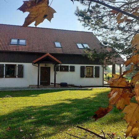 Przytulisko Stara Kiszewa Vila Exterior foto