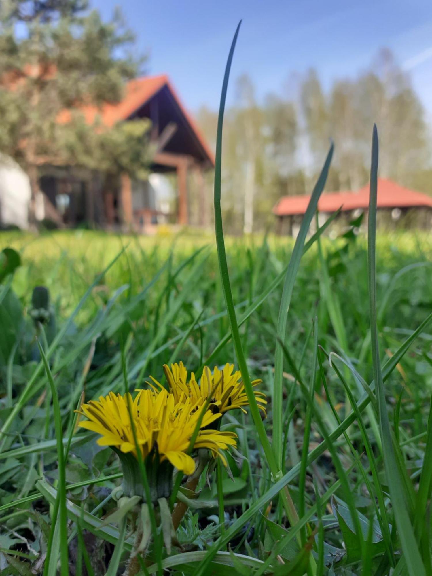 Przytulisko Stara Kiszewa Vila Exterior foto